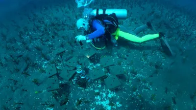 Muzica subacvatică poate ajuta la restaurarea recifurilor de coral