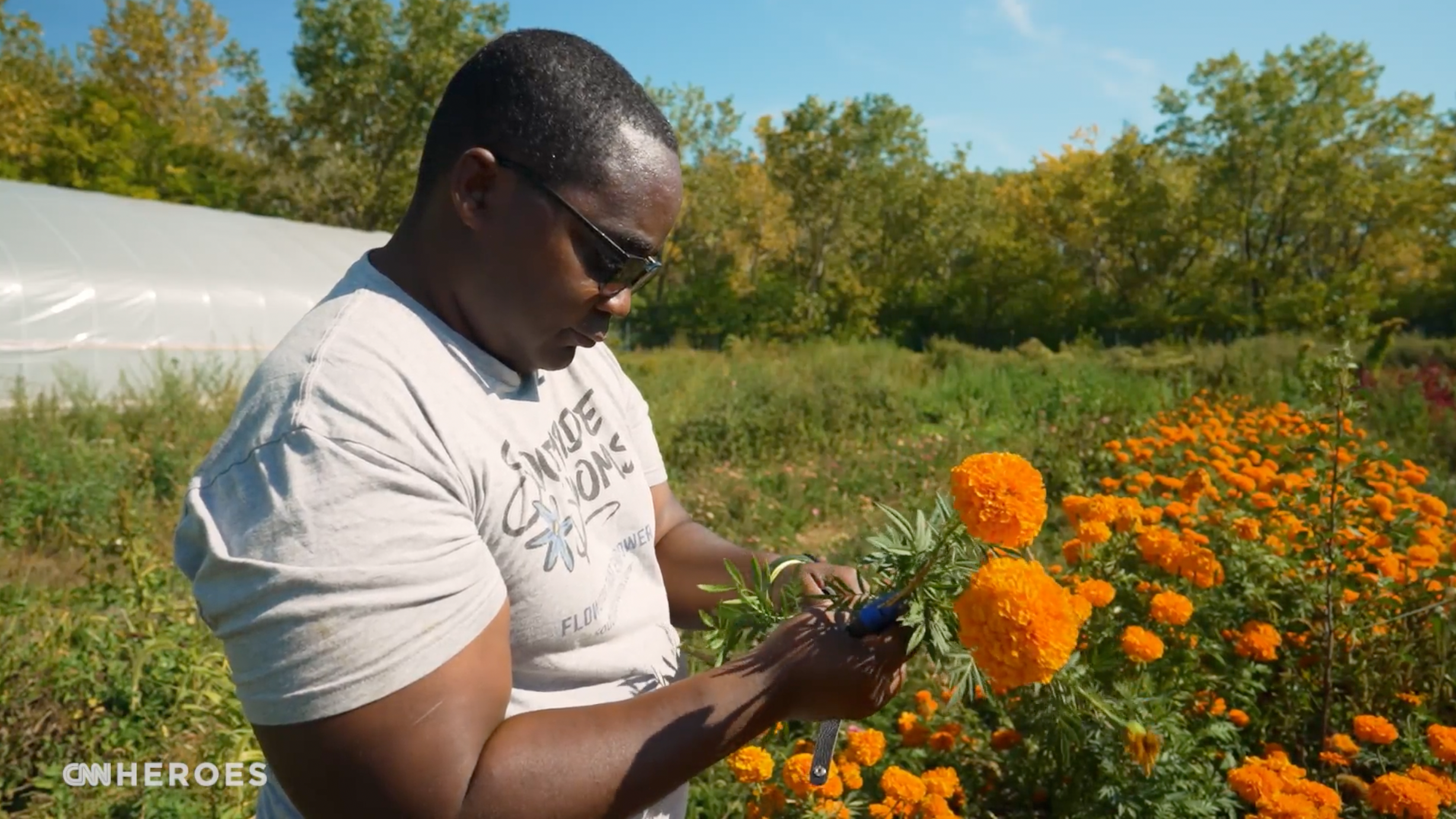 Ferma de flori din Chicago