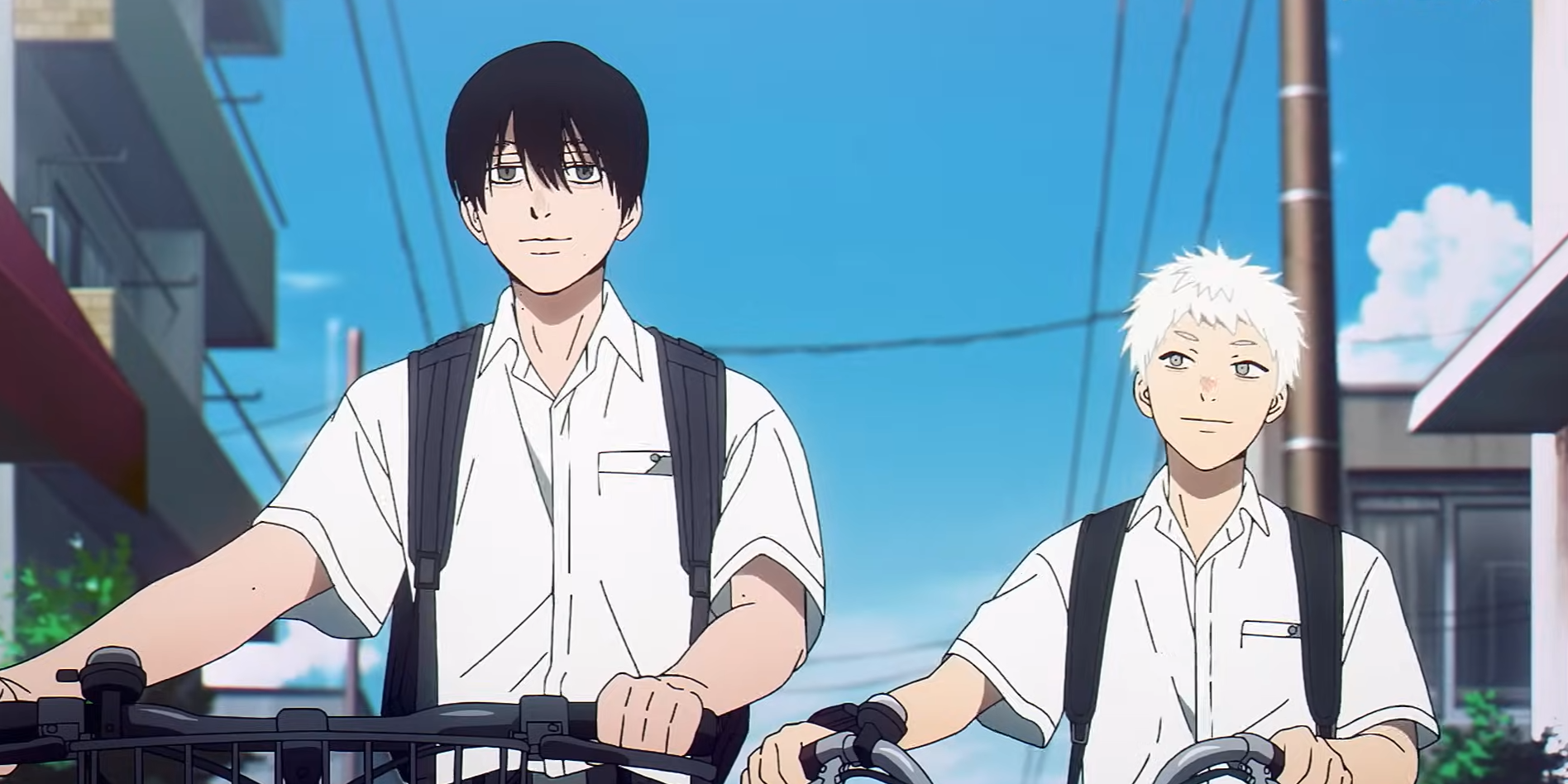 The Summer Hikaru Died