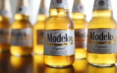 Berea Modelo pierde supremația pe fondul politicilor de imigrare Trump