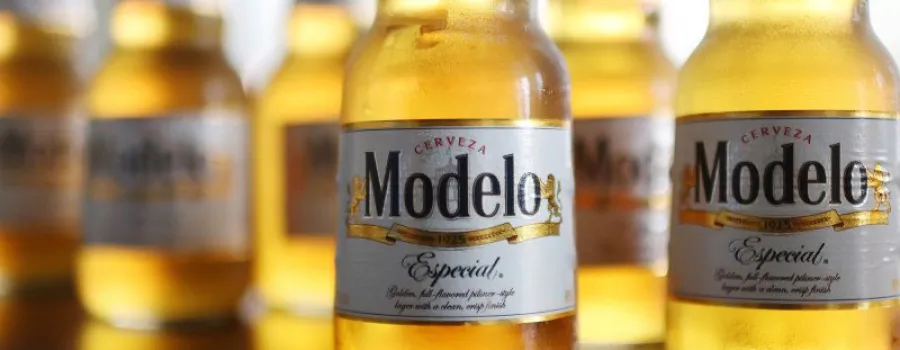 Berea Modelo pierde supremația pe fondul politicilor de imigrare Trump