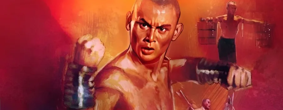 Cele mai bune trilogii de filme cu arte marțiale pe care le poți viziona acum