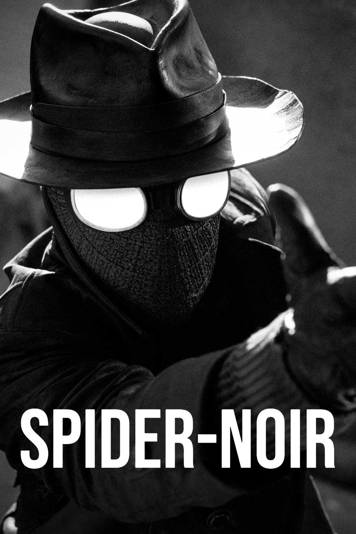 Poster oficial Spider-Noir