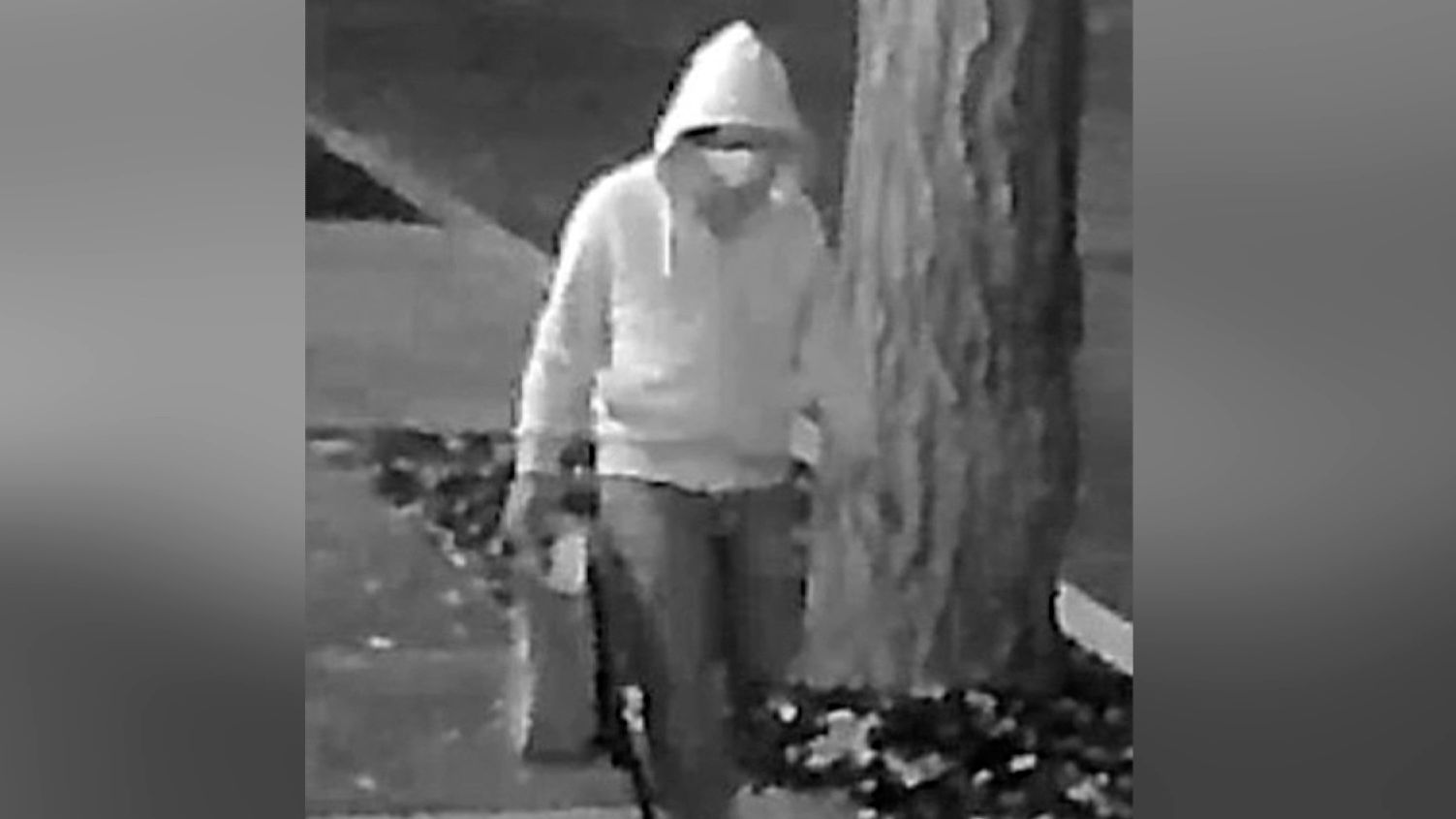 Investigația FBI privind bombele cu țeavă din Washington