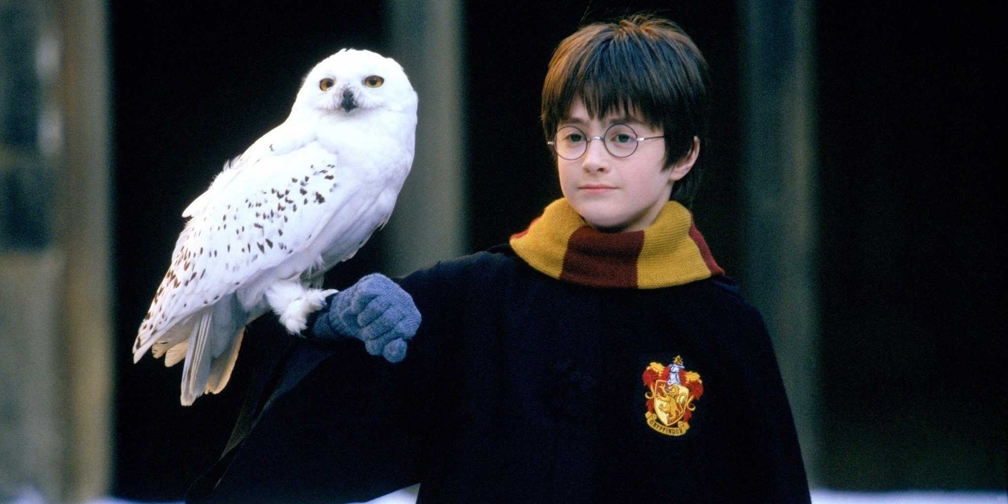 Harry Potter - magia sărbătorilor la Hogwarts