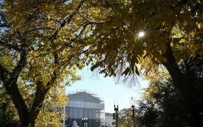 Curtea Supremă din SUA permite Texas să folosească harta electorală