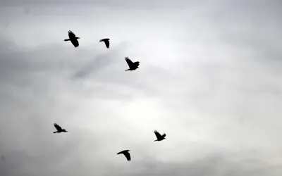 Vremea în România până în ianuarie 2026: mai caldă decât normal