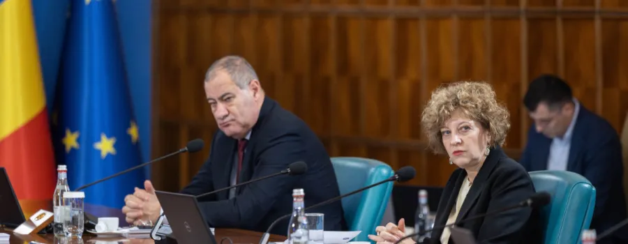 Guvernul a stabilit primele 17 companii care intră în reformă