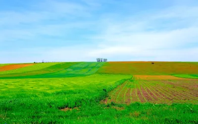 UE schimbă regulile pentru semințe: mai puține pesticide și îngrășăminte