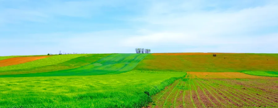 UE schimbă regulile pentru semințe: mai puține pesticide și îngrășăminte