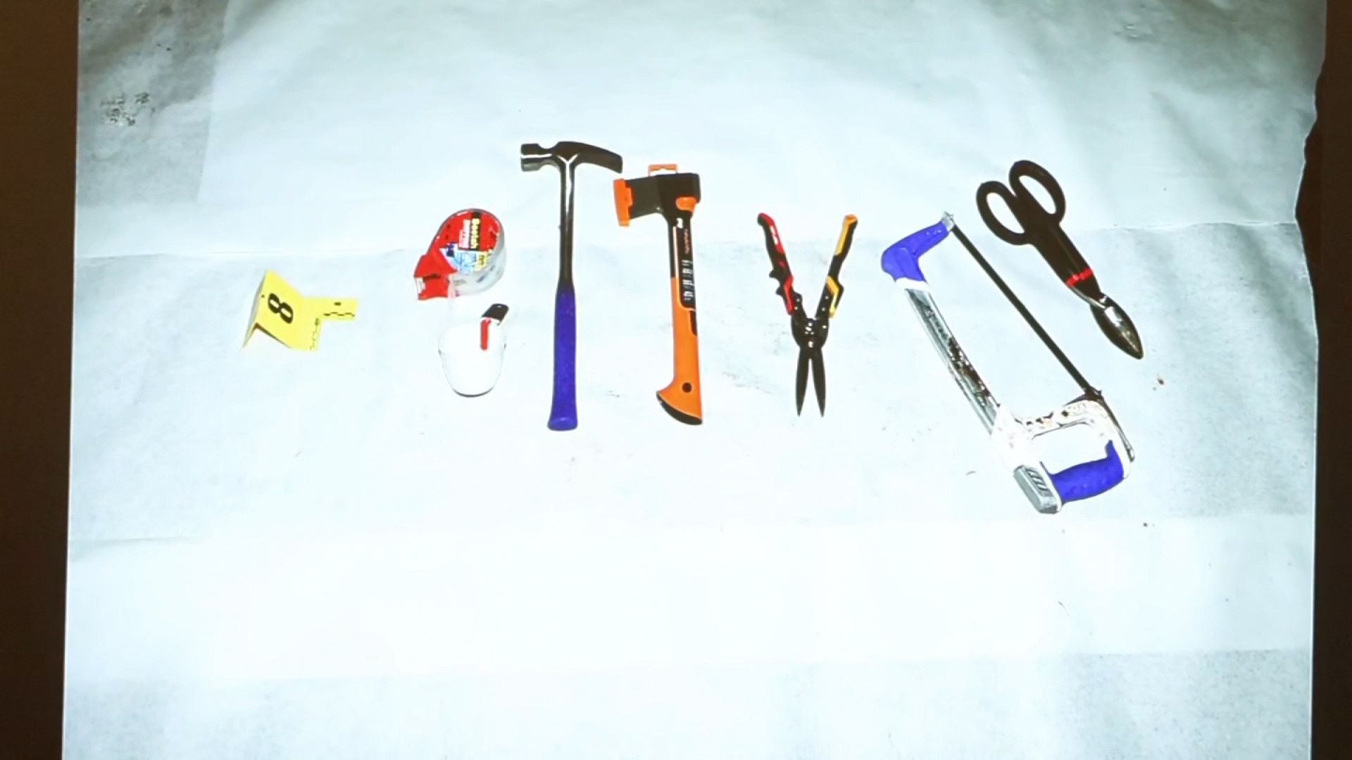 Procesul lui Brian Walshe continuă cu noi mărturii