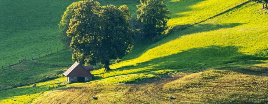 Milionarul din Utah care a creat o fermă pentru scenarii apocaliptice