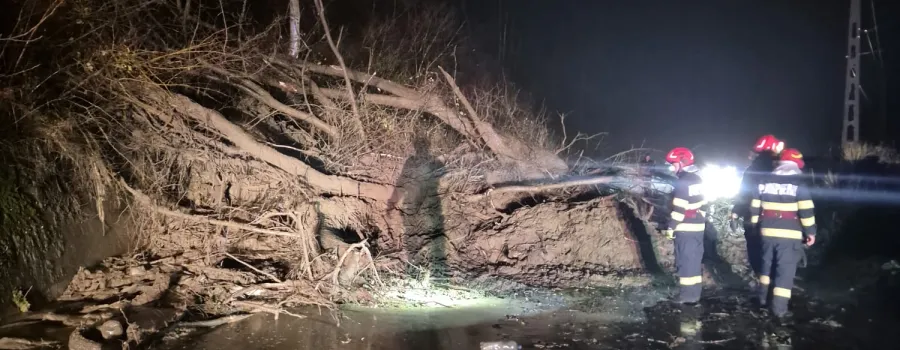 Intervențiile pompierilor din Prahova după furtuni puternice
