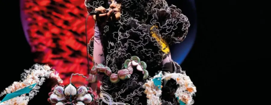 Björk sărbătorește 60 de ani dând în judecată statul islandez